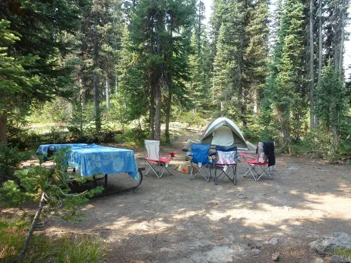 Lewis Lake site #13