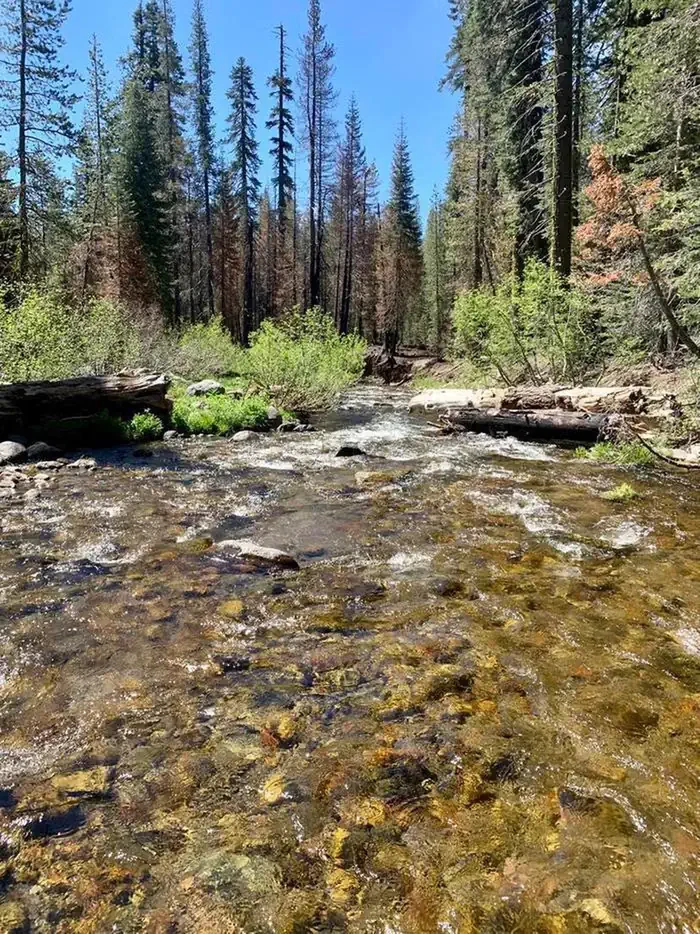 Lassen Volcanic National Park Wilderness Permits