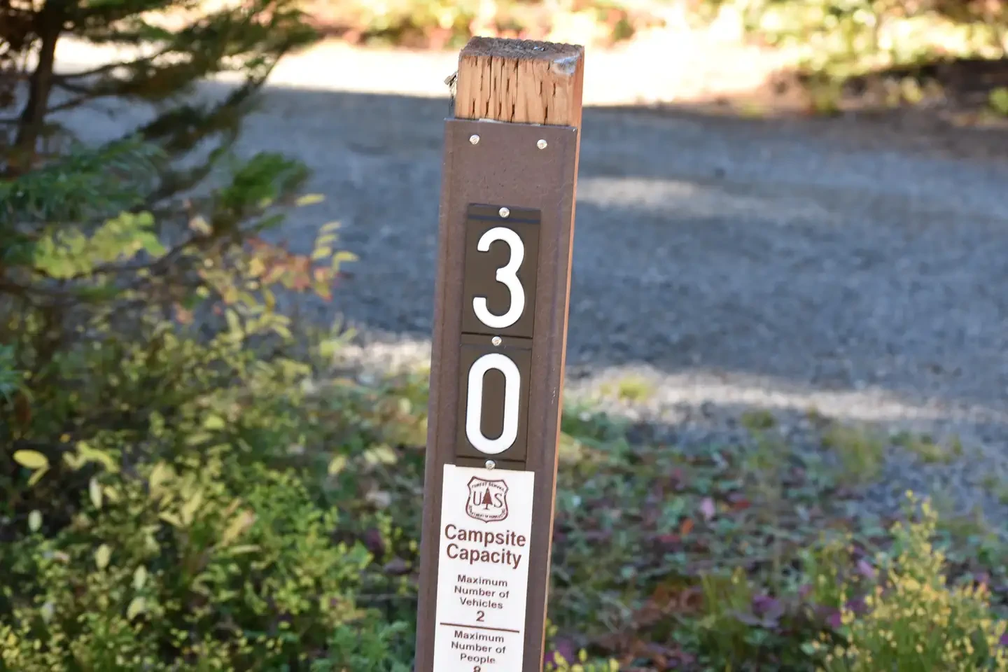 30