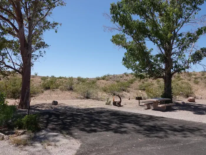 Site 85