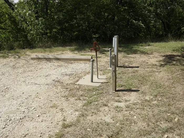009