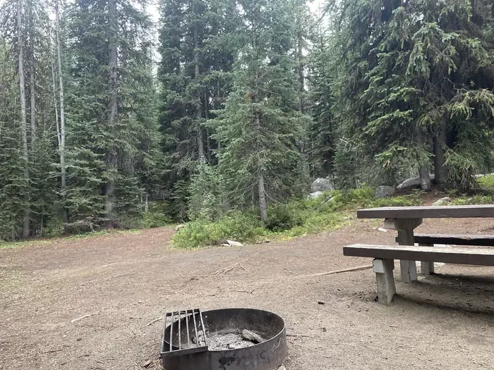 T37