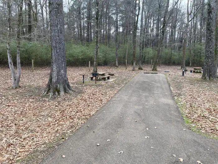 Ford's Well 2
