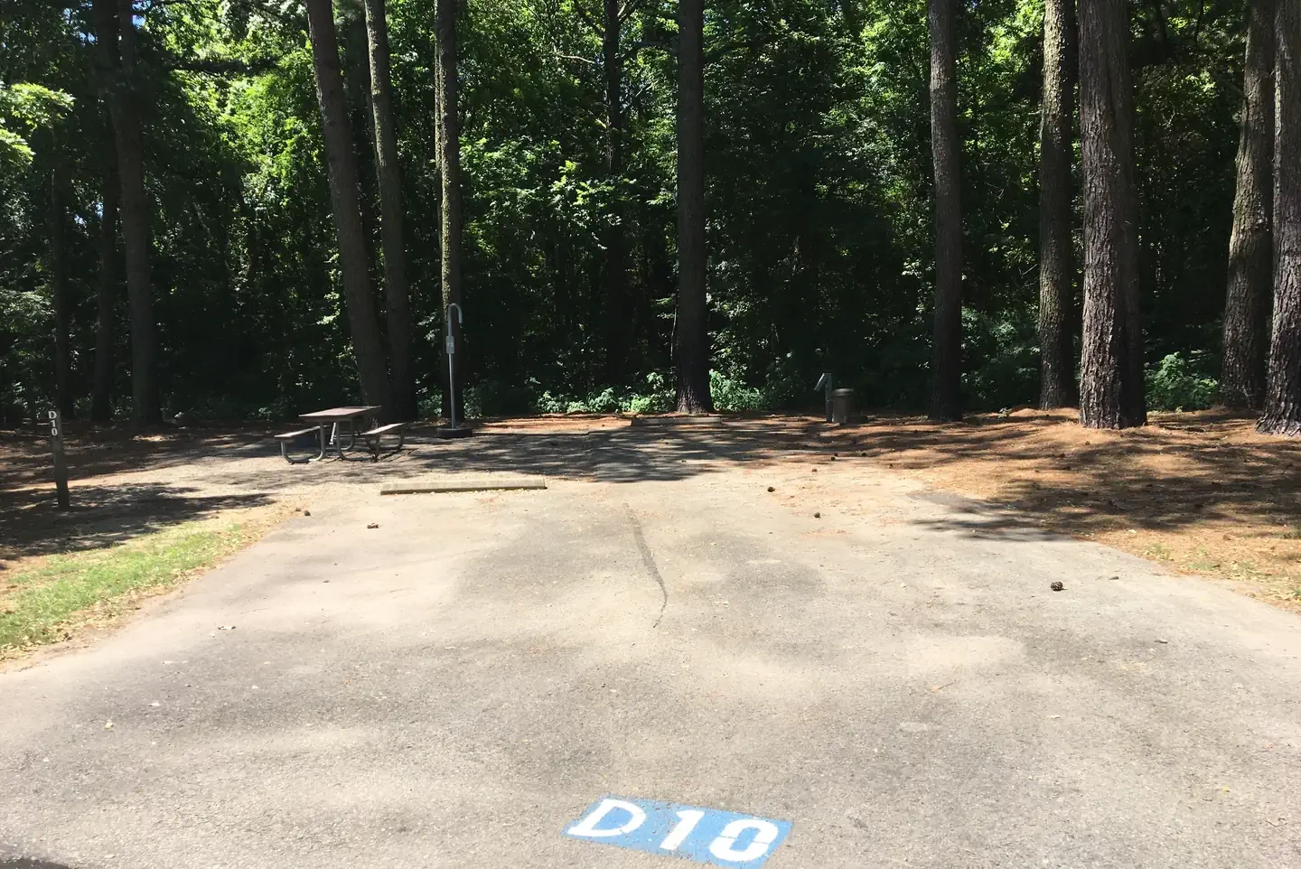 D10