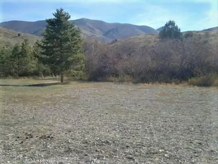 Third Creek Group Site