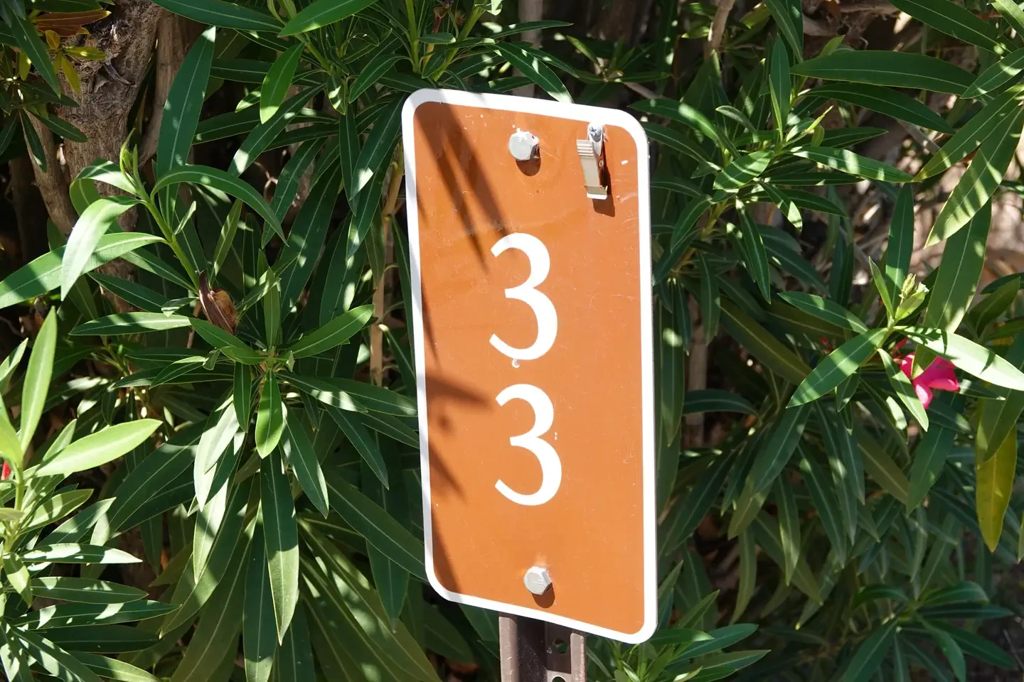 Site 33