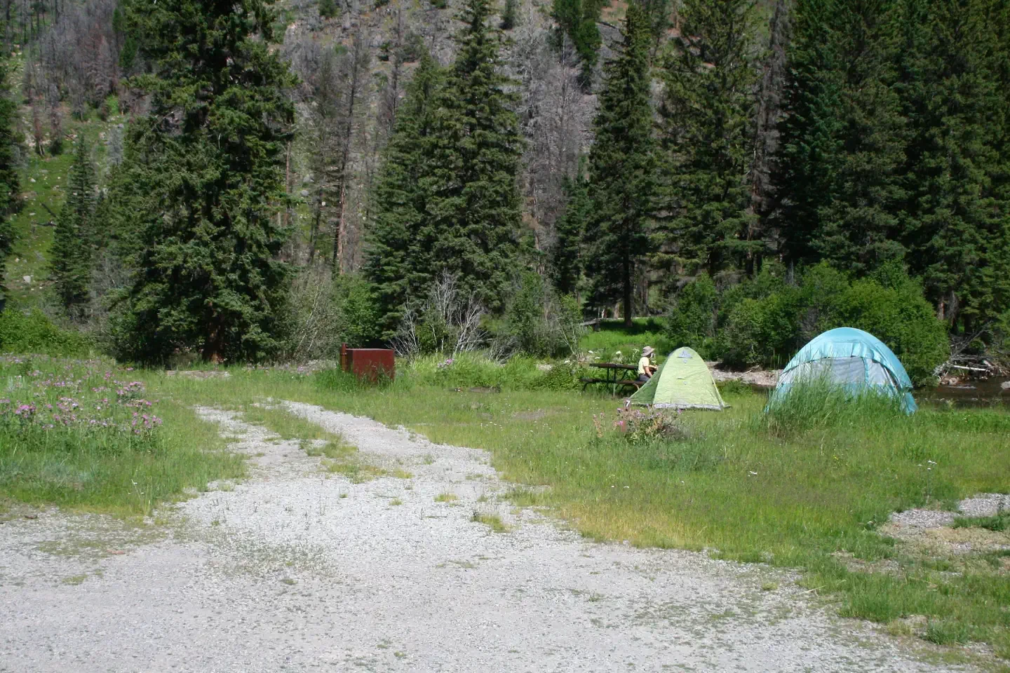 Slough Creek site #7
