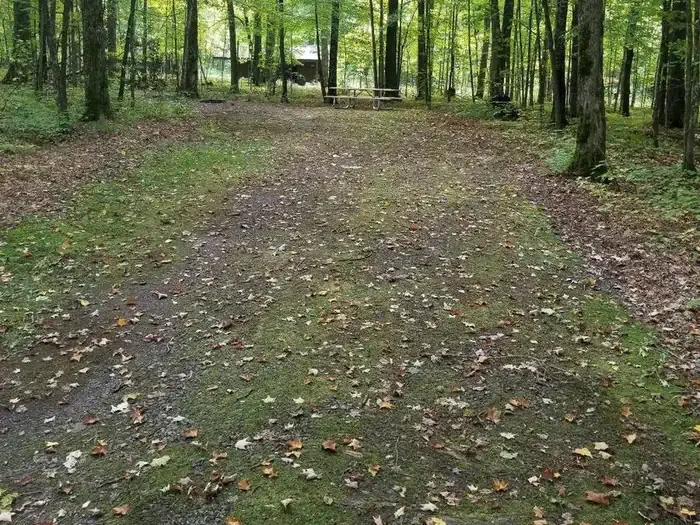 S49