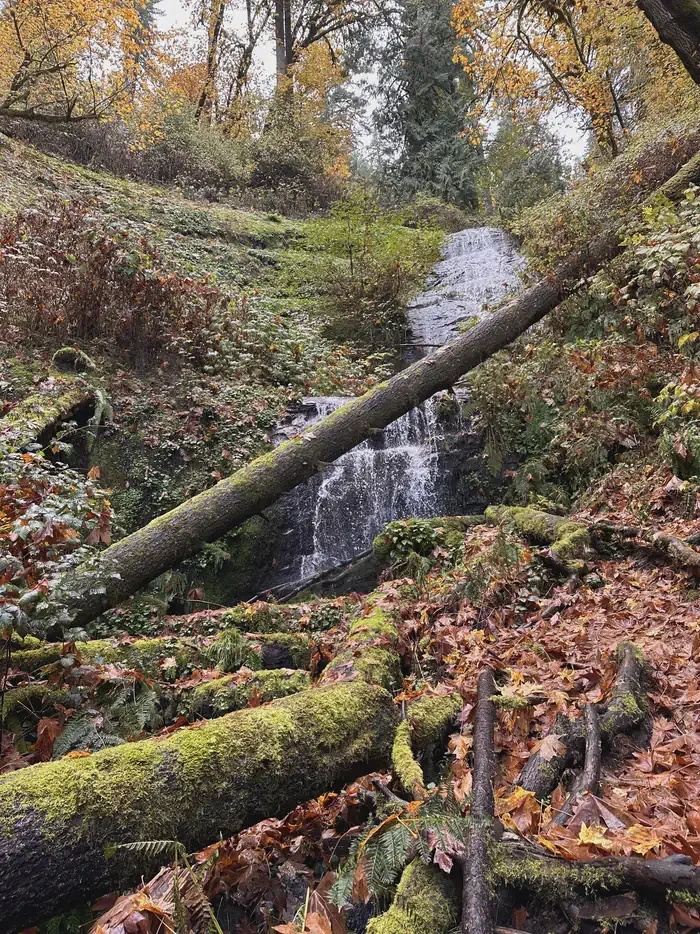 Loon Lake Recreation Site