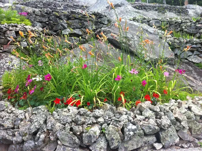 Ellsworth Rock Gardens Tour and Eagle Watch