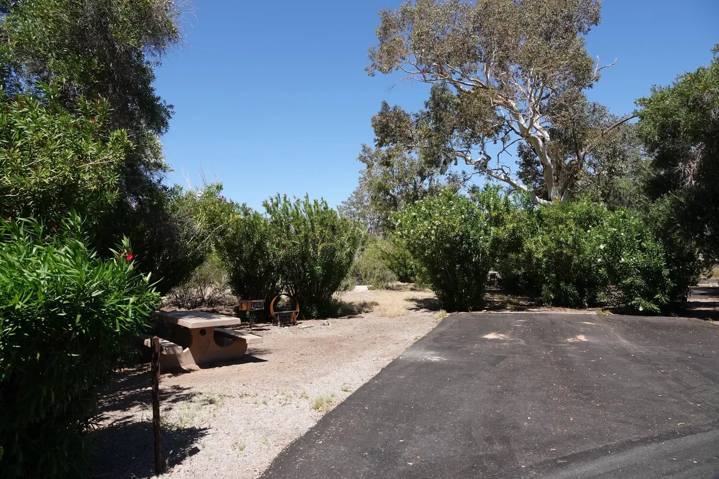 Site 18