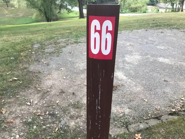 66