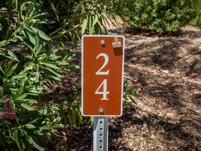 Site 24