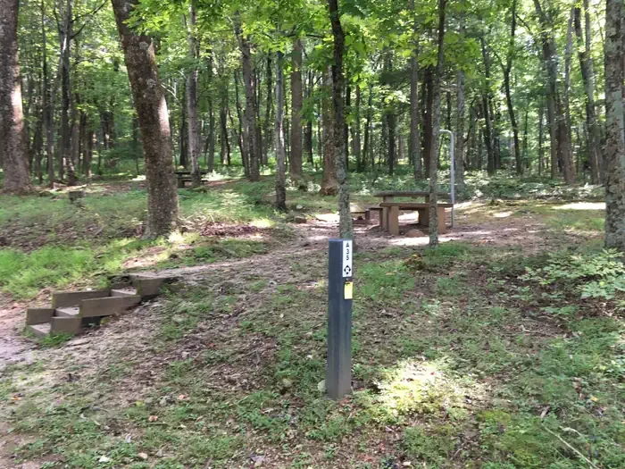 A35
