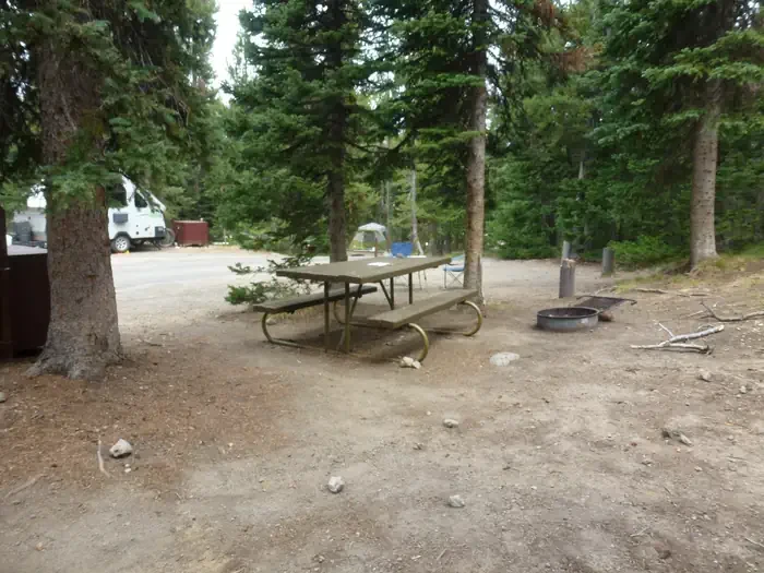 Lewis Lake site #57