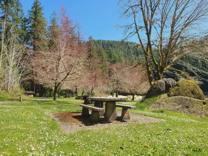 Loon Lake Recreation Site