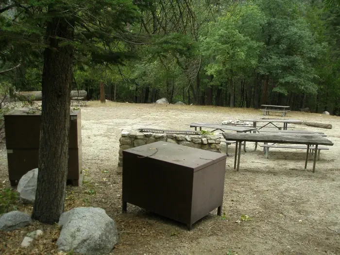 Site D