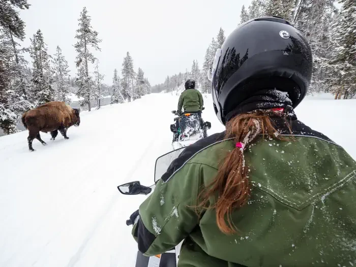 Yellowstone Non-Commercially Guided Snowmobile Access Program