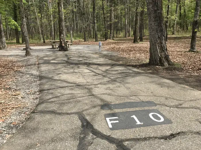F10