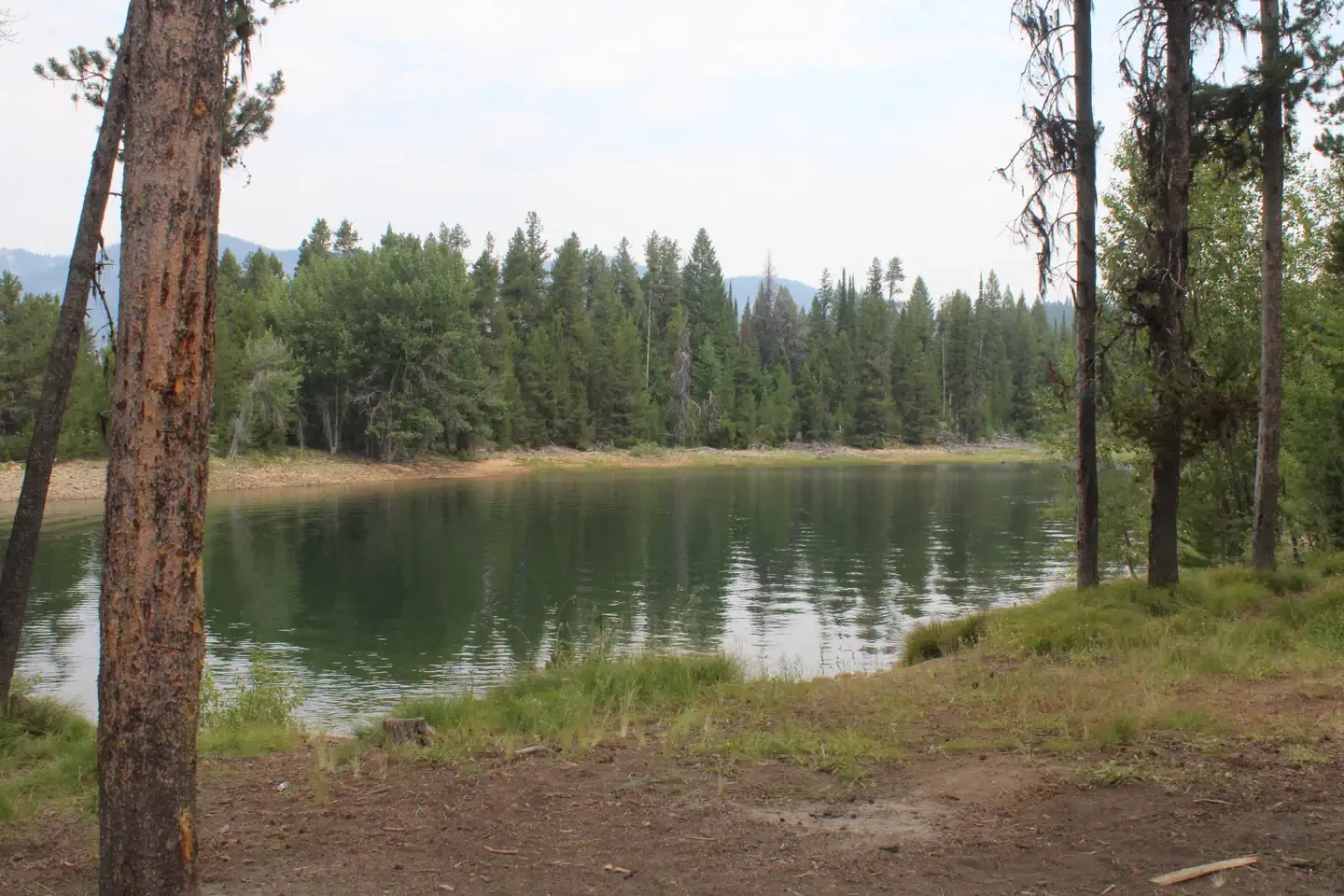 Barneys Campground (Boise National Forest, ID)