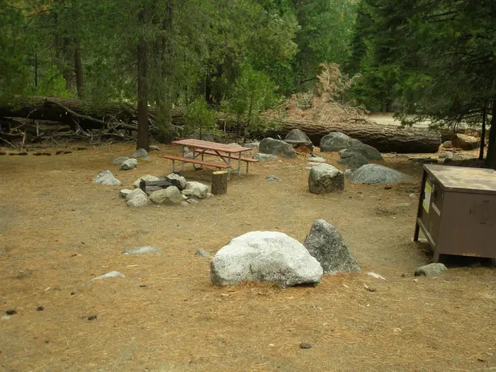 Site: 11