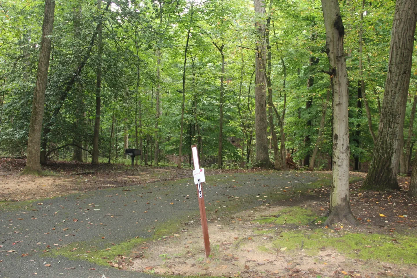A13