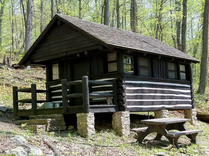 Cabin 41