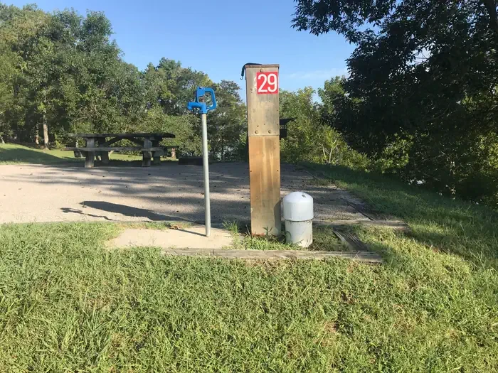 29