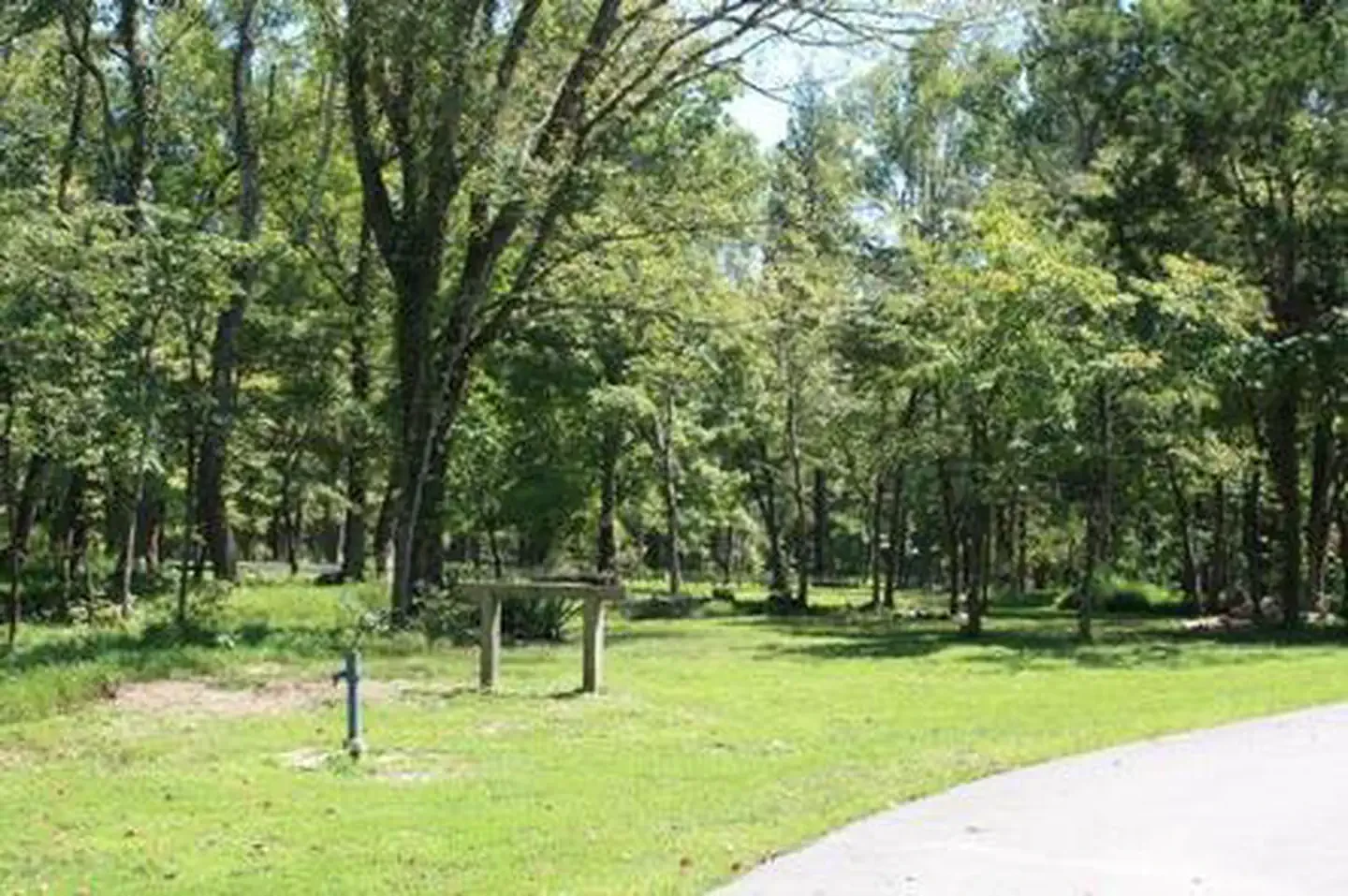 Maple Springs