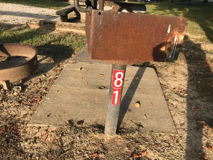 81