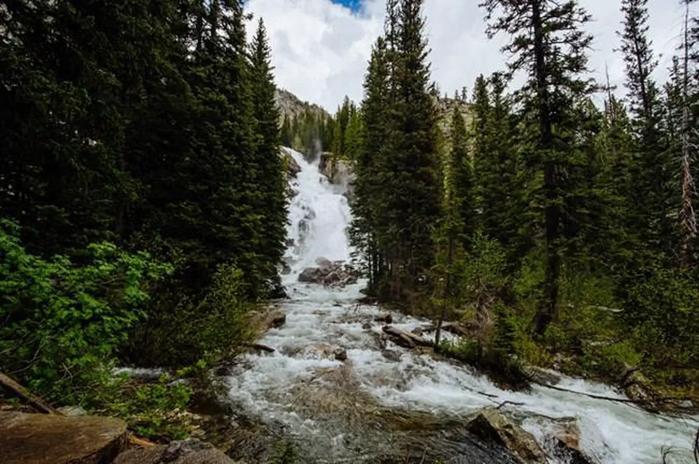 Jenny Lake Campground