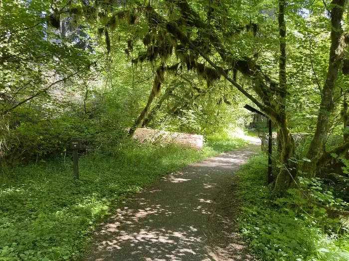 Sol Duc Hot Springs Resort Campground
