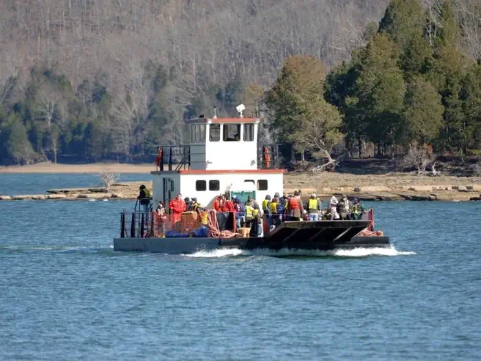 Dale Hollow Lake Eagle Watch