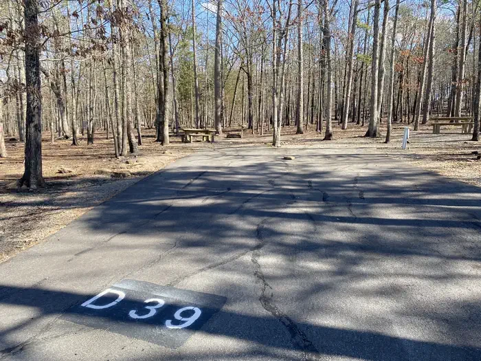 D39