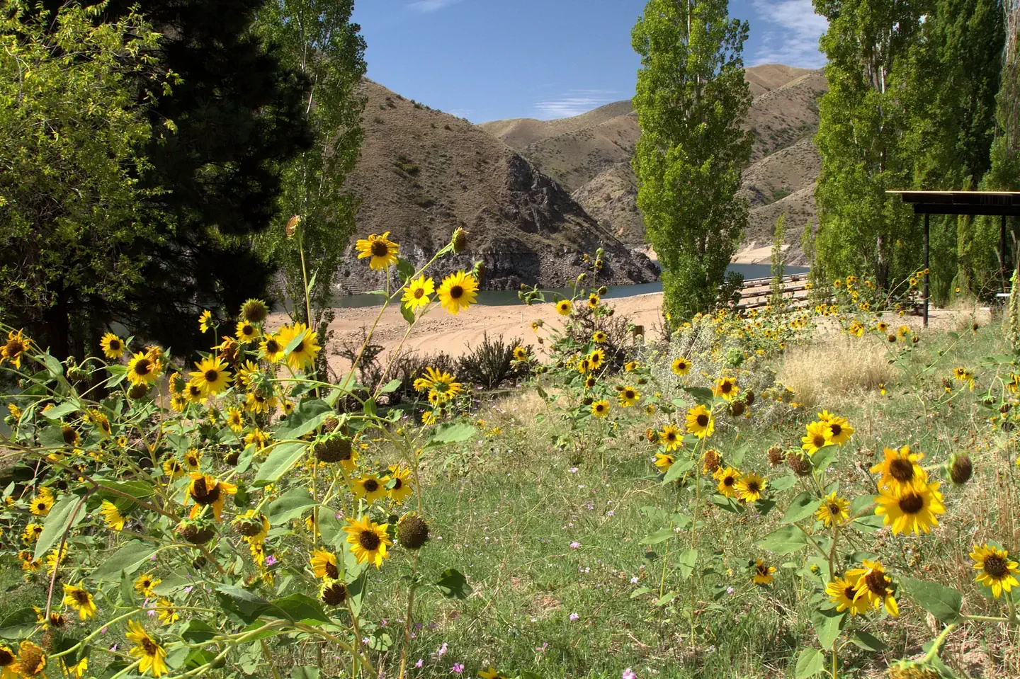 Macks Creek Campground