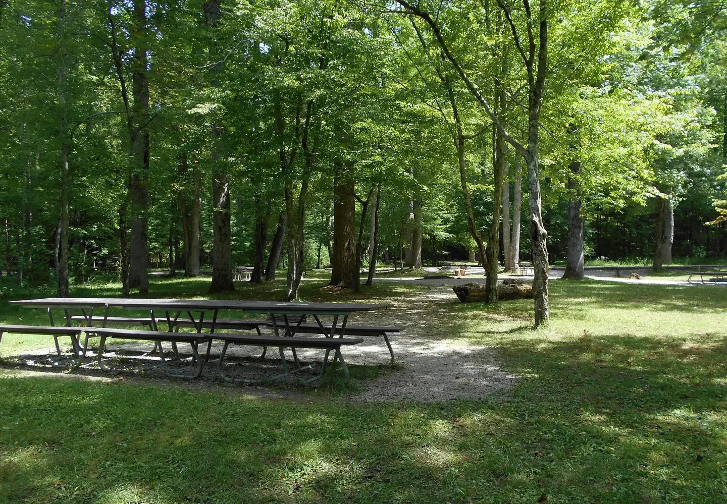 G004