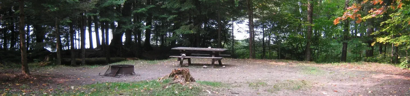 009