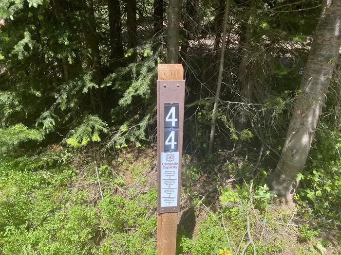 44