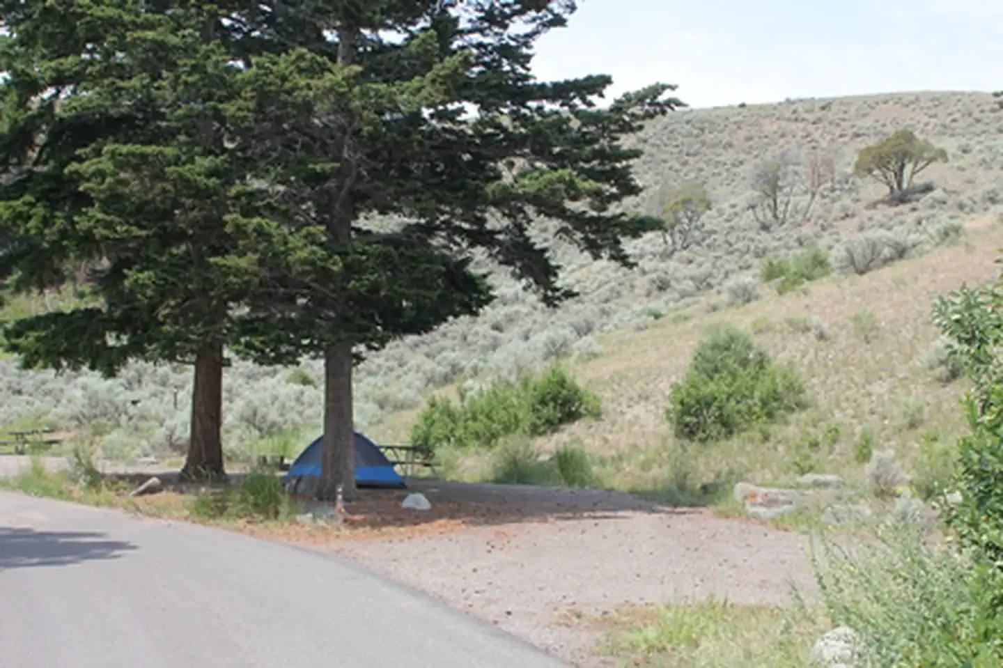 Mammoth Campground (Yellowstone)