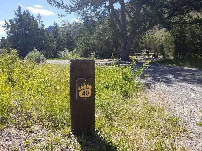 40