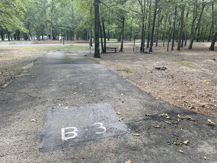B03