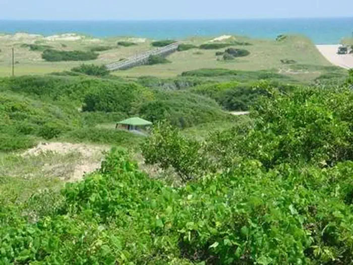 Frisco Campground