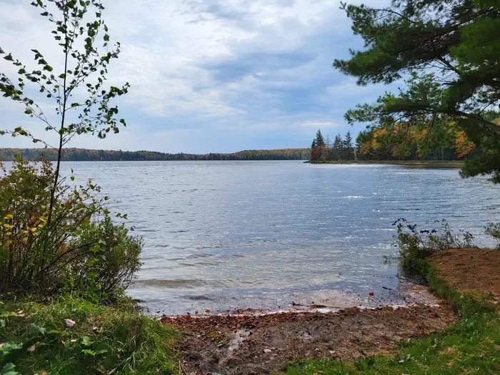 Triangle Lake Campsites