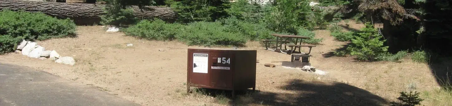 054
