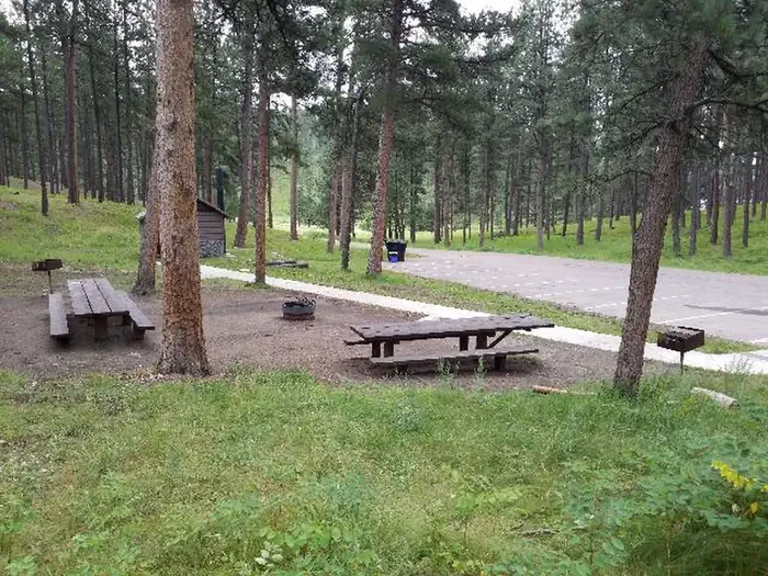 SS1