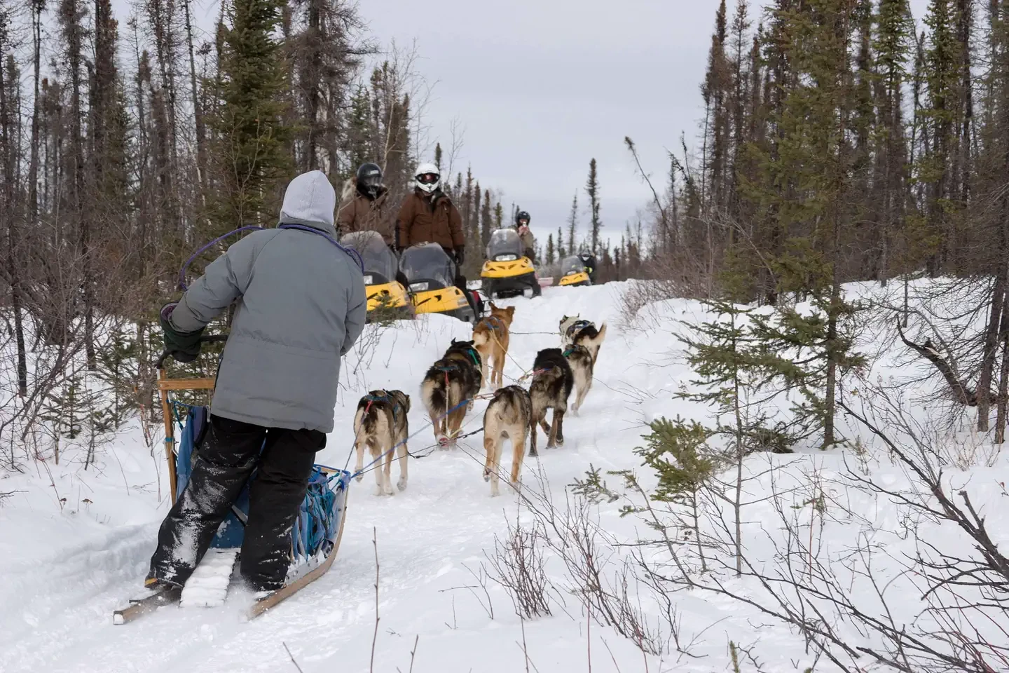 White Mountains National Recreation Area - Alaska Cabins