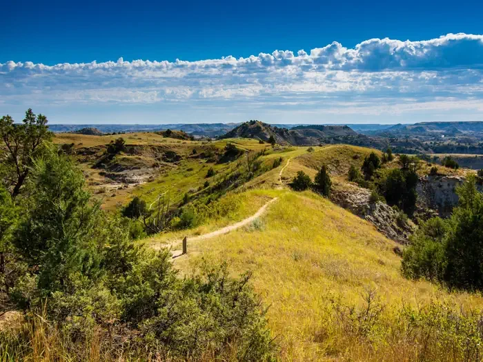 Cottonwood Group Site (ND)