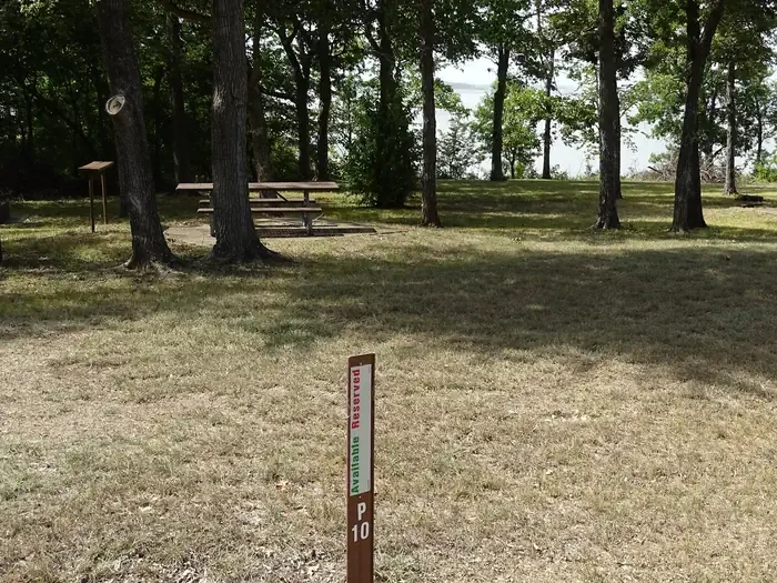 P-10