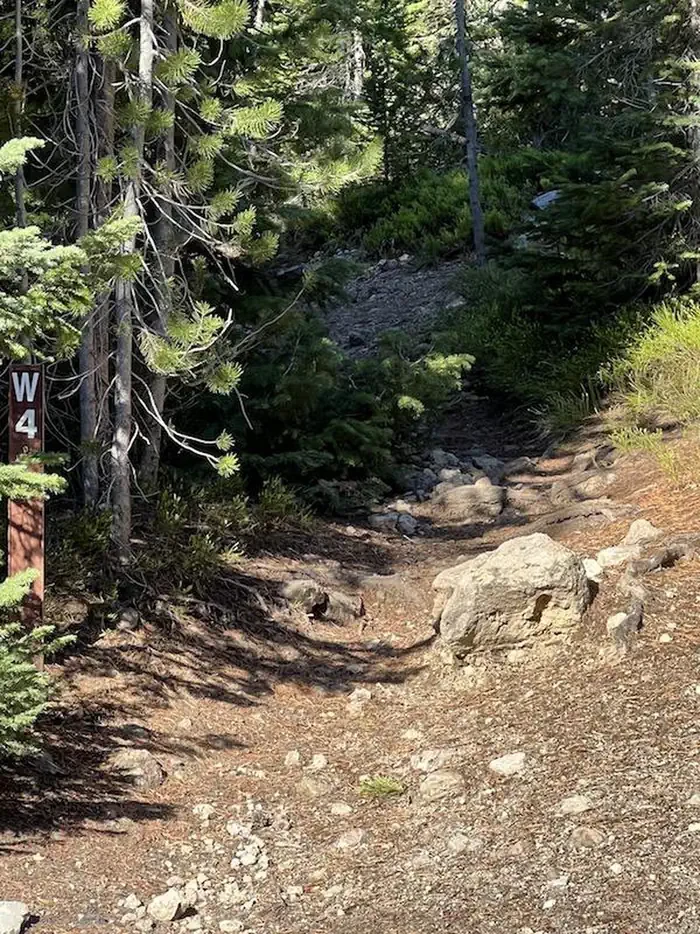 Lewis Lake site #4