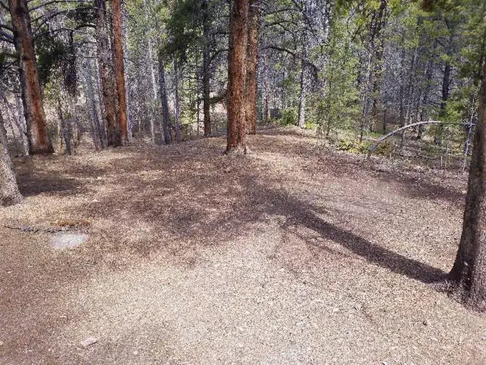 GR3
